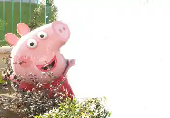 Fotografický efekt z kategorie Různé dětské № 101439