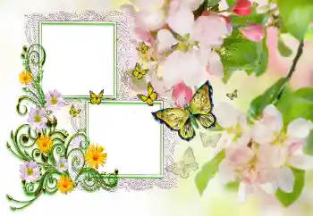 Nápis na rámečku: Blahopřejeme!