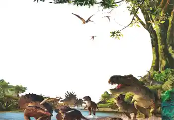 Fotografický efekt z kategorie Různé dětské № 153254