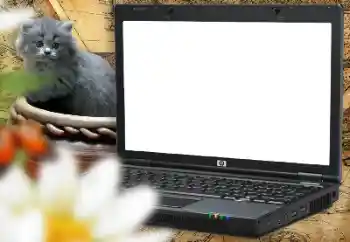 Fotografický efekt z kategorie Různé dětské № 157214