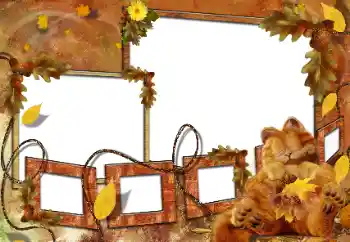 Fotografický efekt z kategorie Koupání, jídlo, spánek № 160682