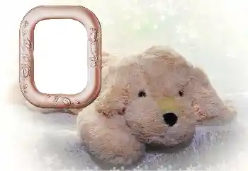 Fotografický efekt z kategorie Mé hračky a zvířata № 169102