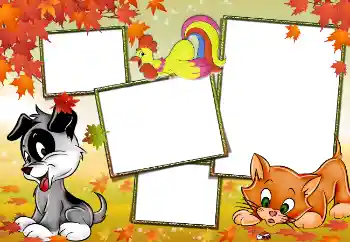 Fotografický efekt z kategorie Mé hračky a zvířata № 3929 Fotografický efekt z kategorie Mé hračky a zvířata № 3929