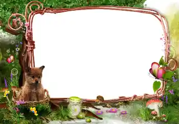 Fotografický efekt z kategorie Na přírodě № 142331