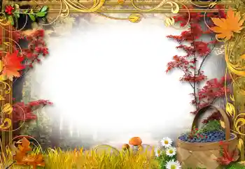 Fotografický efekt z kategorie Na přírodě № 192842