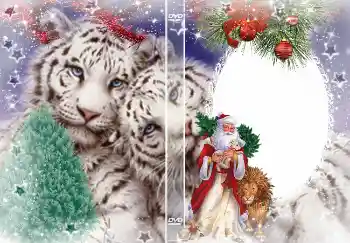 Nápis na rámečku: Nový rok