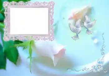 Nápis na rámečku: Svatební oznámení