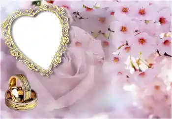 Nápis na rámečku: Svatební oznámení