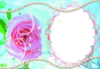 Nápis na rámečku: Svatební oznámení