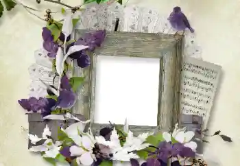 Fotografický efekt z kategorie Různé № 100112