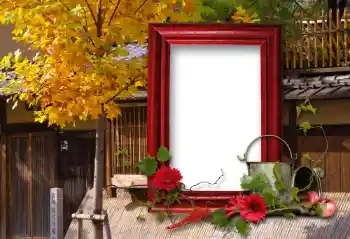 Fotografický efekt z kategorie Různé № 100114