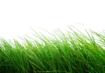 Fotografický efekt z kategorie Různé № 101116