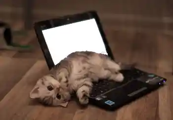 Fotografický efekt z kategorie Různé № 101158