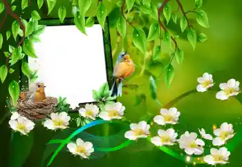 Fotografický efekt z kategorie Různé № 101227