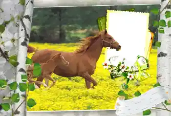 Fotografický efekt z kategorie Různé № 101264