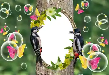 Fotografický efekt z kategorie Různé № 101320