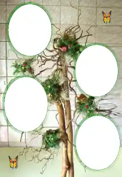 Fotografický efekt z kategorie Různé № 101323