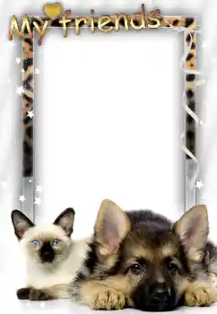 Nápis na rámečku: Moji přátelé