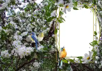 Fotografický efekt z kategorie Různé № 104101