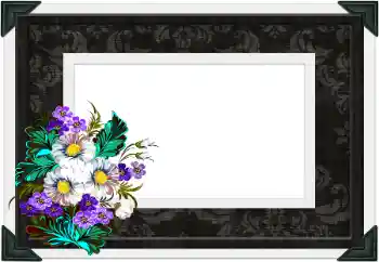 Fotografický efekt z kategorie Různé № 104106