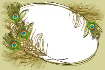 Fotografický efekt z kategorie Různé № 105263