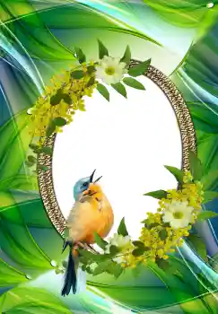 Fotografický efekt z kategorie Různé № 105576