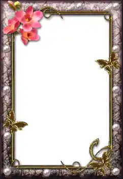 Fotografický efekt z kategorie Různé № 112004