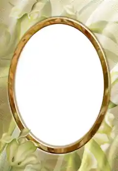 Fotografický efekt z kategorie Různé № 112278