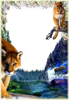 Fotografický efekt z kategorie Různé № 112361