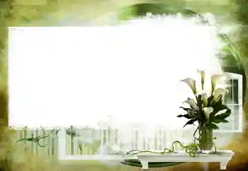 Fotografický efekt z kategorie Různé № 112461