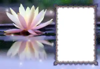 Fotografický efekt z kategorie Různé № 112532