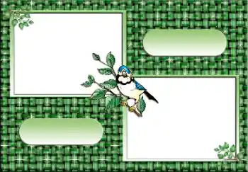 Fotografický efekt z kategorie Různé № 112641