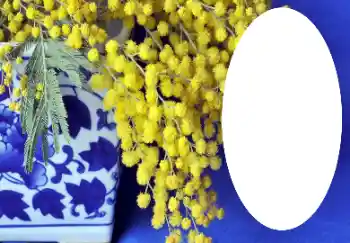 Fotografický efekt z kategorie Různé № 112719