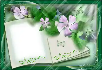 Fotografický efekt z kategorie Různé № 112842