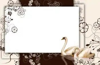 Fotografický efekt z kategorie Různé № 112848