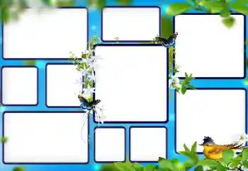 Fotografický efekt z kategorie Různé № 112853