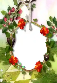 Fotografický efekt z kategorie Různé № 113118