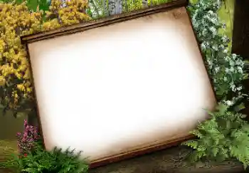 Fotografický efekt z kategorie Různé № 113134