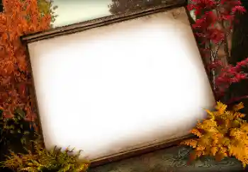 Fotografický efekt z kategorie Různé № 113138