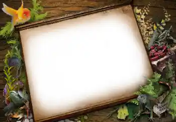 Fotografický efekt z kategorie Různé № 113139