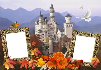 Fotografický efekt z kategorie Různé № 114211