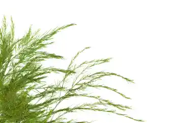 Fotografický efekt z kategorie Různé № 114378