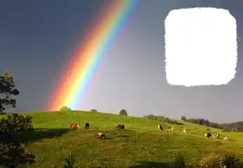 Fotografický efekt z kategorie Různé № 114599