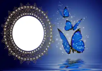 Fotografický efekt z kategorie Různé № 114746