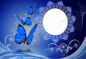 Fotografický efekt z kategorie Různé № 114747