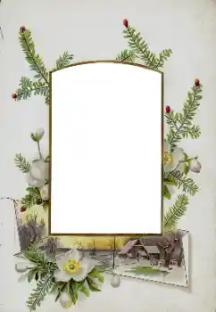 Fotografický efekt z kategorie Různé № 115833