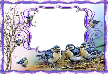 Fotografický efekt z kategorie Různé № 115877