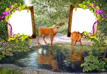 Fotografický efekt z kategorie Různé № 115890