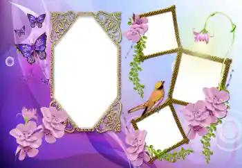 Fotografický efekt z kategorie Různé № 115891