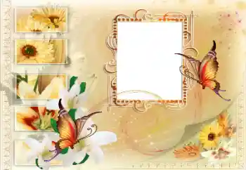 Fotografický efekt z kategorie Různé № 115894